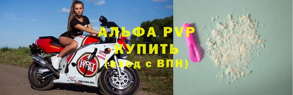 прущие грибы Михайловск