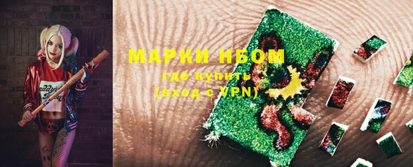 прущие грибы Михайловск