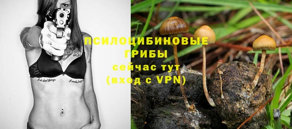 соль курить ск Михайлов