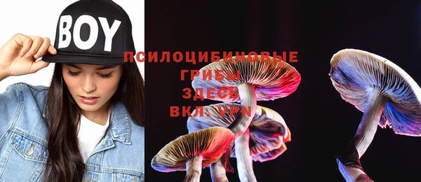 соль курить ск Михайлов