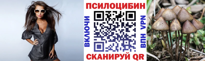 Псилоцибиновые грибы MAGIC MUSHROOMS  Ясный 